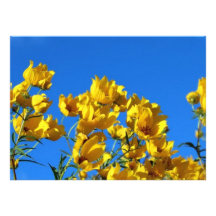 Céu brilhante dos Wildflowers amarelos Convite Personalizado