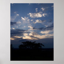 Céu de West Virginia e árvore 10 Poster