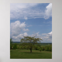 Céu de West Virginia e árvore 6 Poster