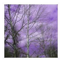Céu do inverno com canvas desencapadas das árvores impressão em canvas