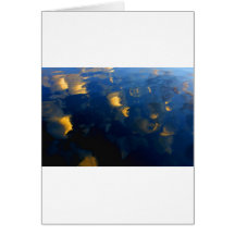 Céu refletido cartões