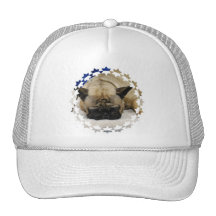 Chapéu de basebol bonito do buldogue francês bonés