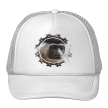 Chapéu de basebol bonito do Gibbon Bonés