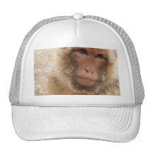 Chapéu de basebol da cara do macaco bone
