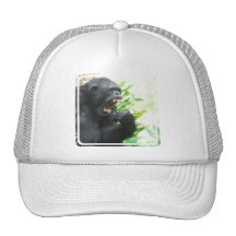 Chapéu de basebol das presas do chimpanzé boné