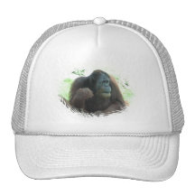 Chapéu de basebol do grande macaco bones