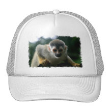 Chapéu de basebol do macaco de aranha bones