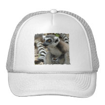 Chapéu de basebol do macaco do Lemur Boné