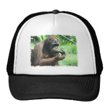 Chapéu de basebol do macaco do orangotango boné