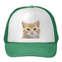 Chapéu do gatinho bonés