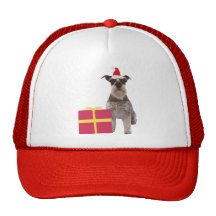 Chapéu do papai noel do Schnauzer Boné