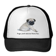 Chapéu do Pug Bone