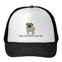 Chapéu do Pug Boné