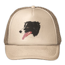 Chapéu do retrato de border collie bones