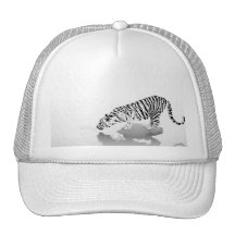 chapéu do tigre bone