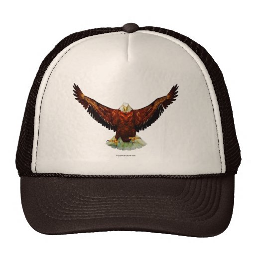 Chapéu majestoso de Eagle Bonés