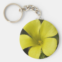 Chaveiro amarelo da flor