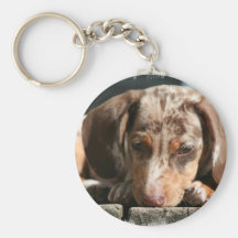 Chaveiro bonito do filhote de cachorro de Daschund