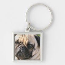 Chaveiro da raça do cão do Pug