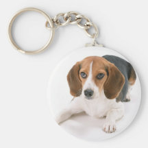 Chaveiro do cão do lebreiro