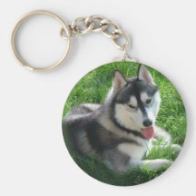 Chaveiro do cão do rouco Siberian