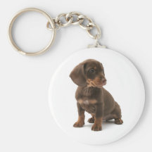 Chaveiro do filhote de cachorro do Dachshund