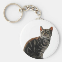 Chaveiro do gato