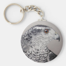 Chaveiro do Goshawk