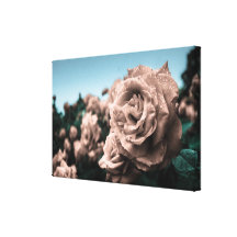 Cheire os rosas No2 Impressão De Canvas Envolvidas