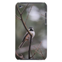 Chickadee tampado preto no ramo capa iPod Case-Mate