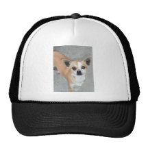 CHIHUAHUA BONE