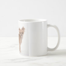 Chihuahua Caneca