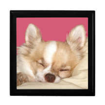 Chihuahua do sono estojo para jóia