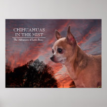 Chihuahuas na névoa posteres