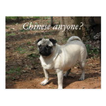 Chinês qualquer um? Cartão do Pug Cartões Postais