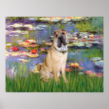 Chinês Shar Pei 5 - lírios 2 Pôsteres