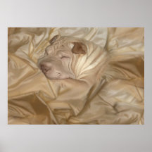 Chinês Shar Pei camuflado nos enrugamentos Poster