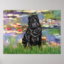 Chinês Shar Pei (preto) - lírios 2 Poster