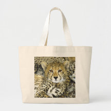 Chita Cub 2 Bolsas Para Compras