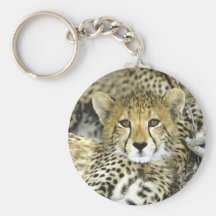 Chita Cub 2 Chaveiro