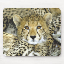 Chita Cub 2 Mousepad