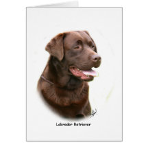 Chocolate labrador retriever cartao