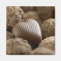 chocolate nestled entre outros chocolates imãs de refrigerador
