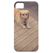 chowchowforzazzle.jpg capa iPhone 5 Case-Mate