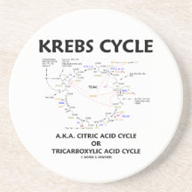 Ciclo de ácido cítrico de ciclo de Krebs A.K.A. Tr Porta Copo Para Bebidas