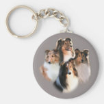 Círculo do chaveiro de Shelties