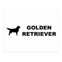 Clássico do golden retriever cartao postal