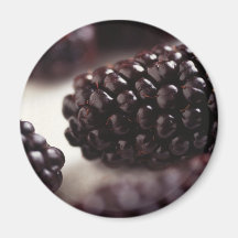 Close up de Blackberry Imã De Geladeira
