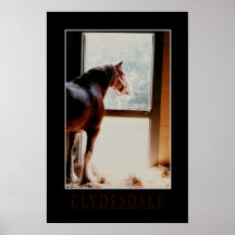 Clydesdale majestoso poster