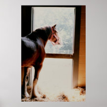 Clydesdale Pôsteres
